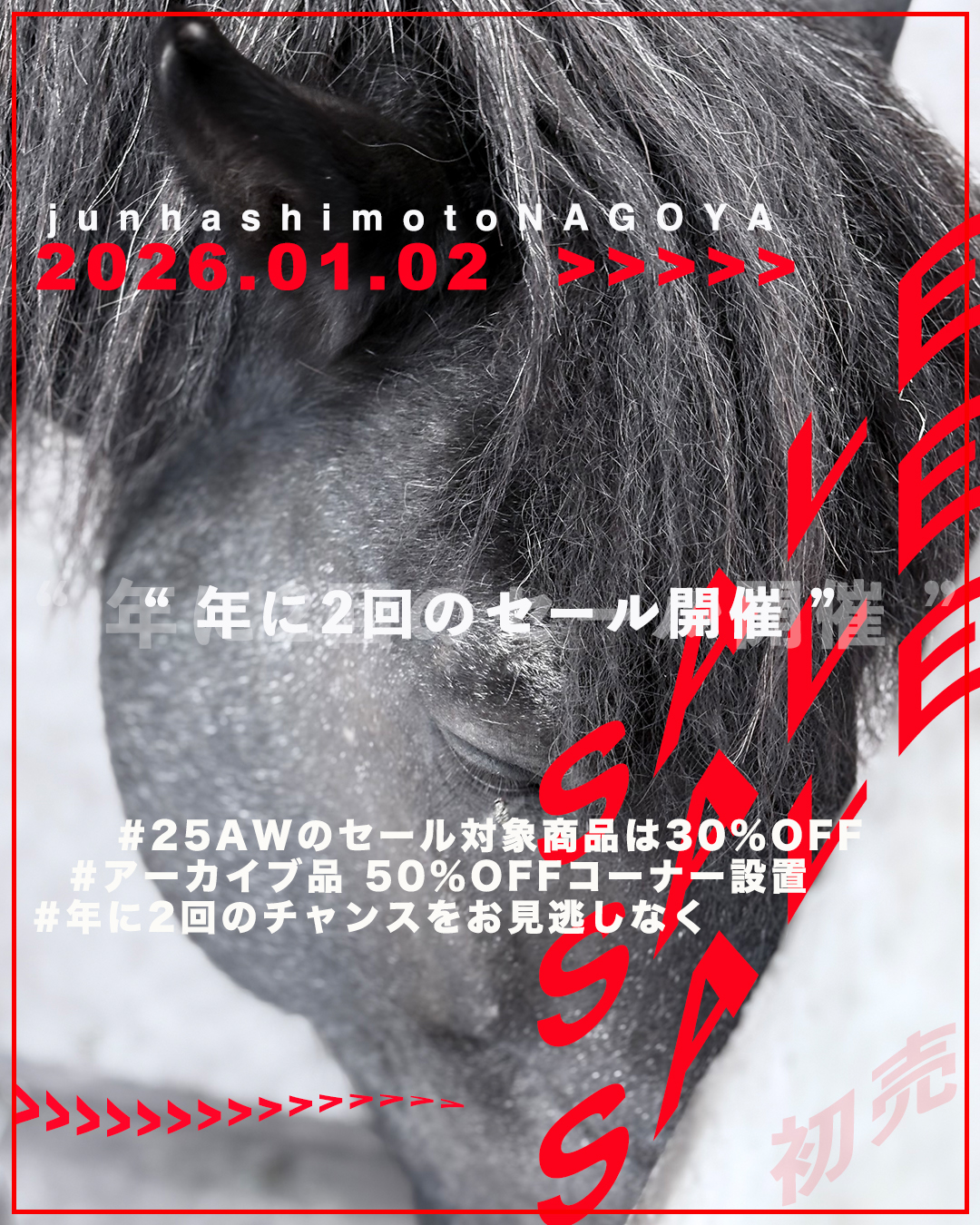 2026 NEW YEAR SALE 1080