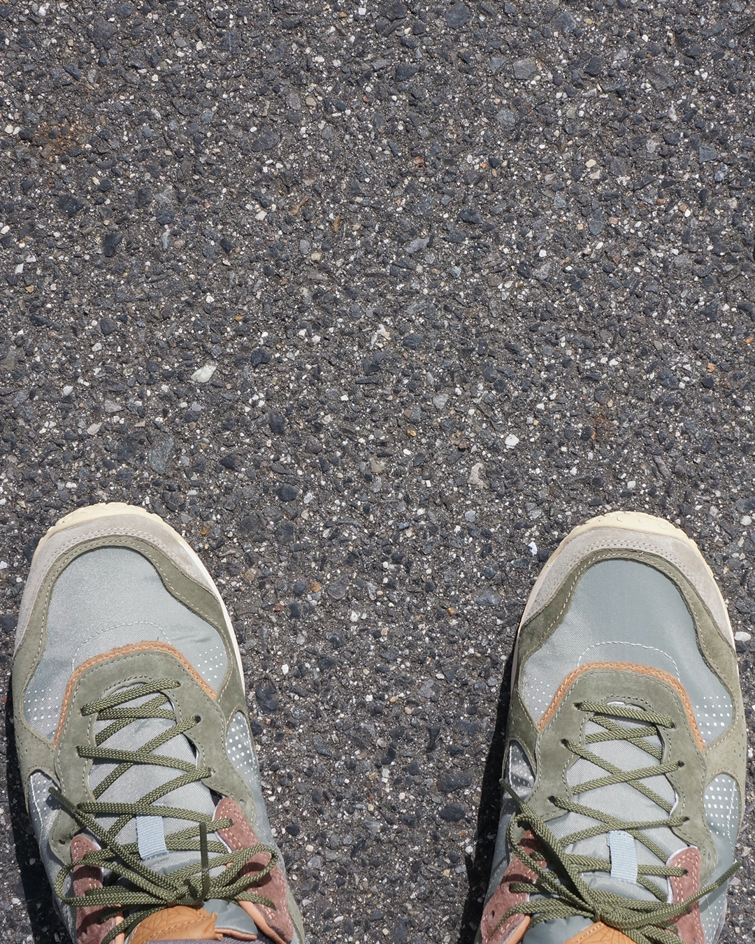 PUERH SAGE fit 1080 10