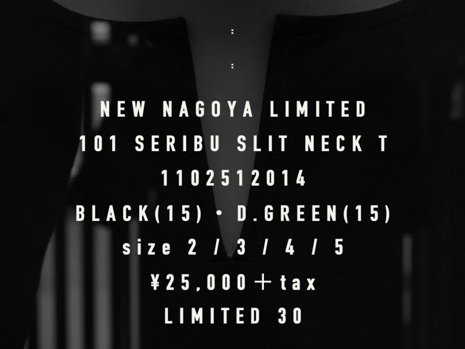101 SERIBU SLIT 1080 PP 1