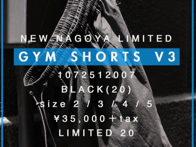 GYM SHORTS V3 PP 2